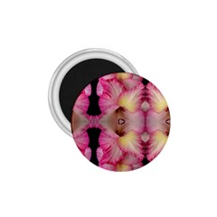 Pink Gladiolus Flowers 1 75  Button Magnet