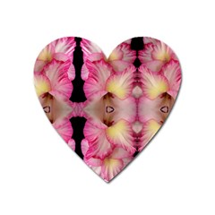 Pink Gladiolus Flowers Magnet (heart)