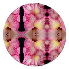 Pink Gladiolus Flowers Magnet 5  (round)