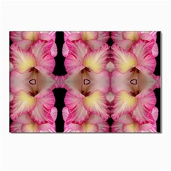 Pink Gladiolus Flowers Postcards 5  X 7  (10 Pack) by Artist4God