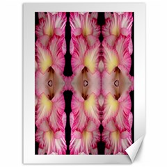 Pink Gladiolus Flowers Canvas 36  X 48  (unframed)