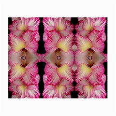 Pink Gladiolus Flowers Glasses Cloth (small, Two Sided)