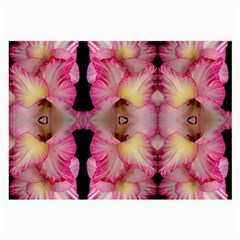 Pink Gladiolus Flowers Glasses Cloth (large, Two Sided)