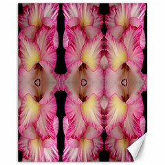 Pink Gladiolus Flowers Canvas 11  X 14  (unframed)