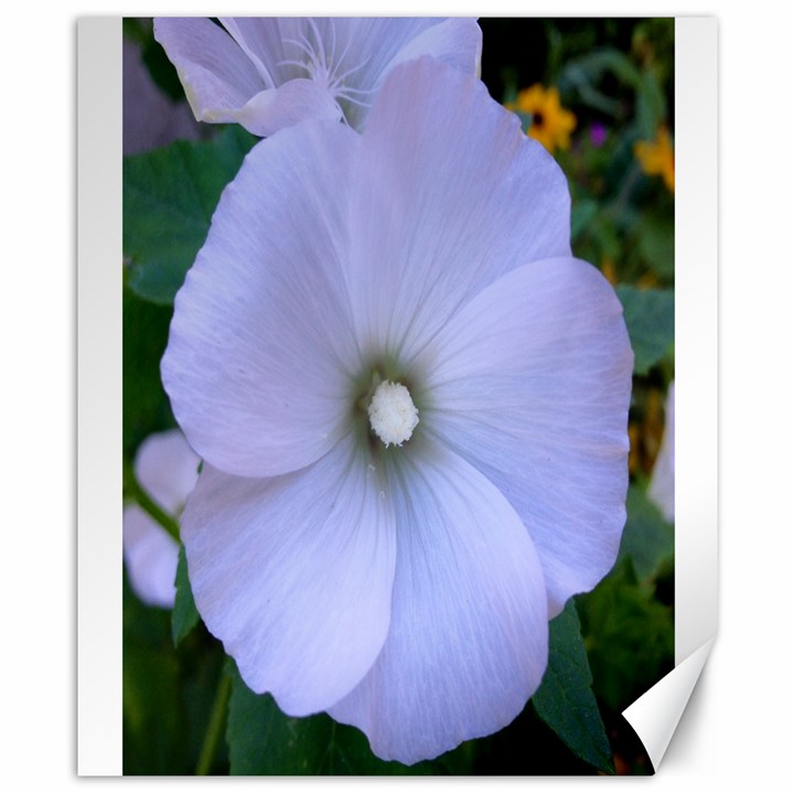 Moon Flower Canvas 8  x 10  (Unframed)