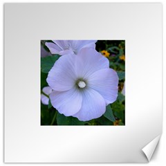 Moon Flower Canvas 16  X 16  (unframed)