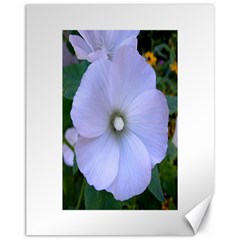 Moon Flower Canvas 11  X 14  (unframed)