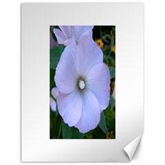 Moon Flower Canvas 12  X 16  (unframed)