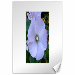 Moon Flower Canvas 12  X 18  (unframed)