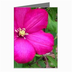 Clem Pink Greeting Card