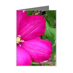 Clem Pink Mini Greeting Card