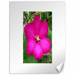 Clem Pink Canvas 12  X 16  (unframed)