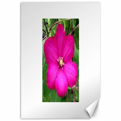 Clem Pink Canvas 12  X 18  (unframed)