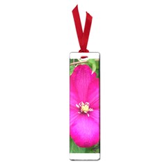 Clem Pink Small Bookmark