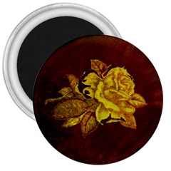 Rose 3  Button Magnet