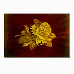 Rose Postcard 4 x 6  (10 Pack)