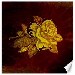 Rose Canvas 12  X 12  (unframed) by ankasdesigns