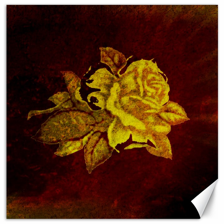 Rose Canvas 12  x 12  (Unframed)