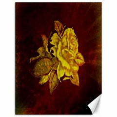 Rose Canvas 12  X 16  (unframed) by ankasdesigns