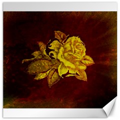 Rose Canvas 20  X 20  (unframed) by ankasdesigns