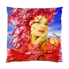 Tears Of Blood Cushion Case (two Sided) 