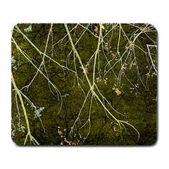 Wild Nature Collage Print Large Mouse Pad (rectangle) by dflcprints