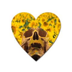 Sunflowers Magnet (heart)