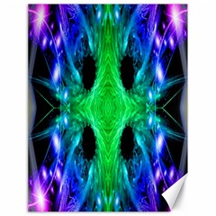 Alien Snowflake Canvas 18  X 24  (unframed) by icarusismartdesigns