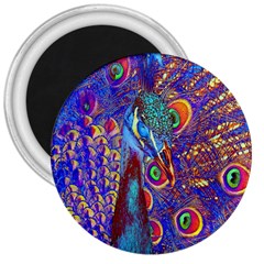 Peacock 3  Button Magnet