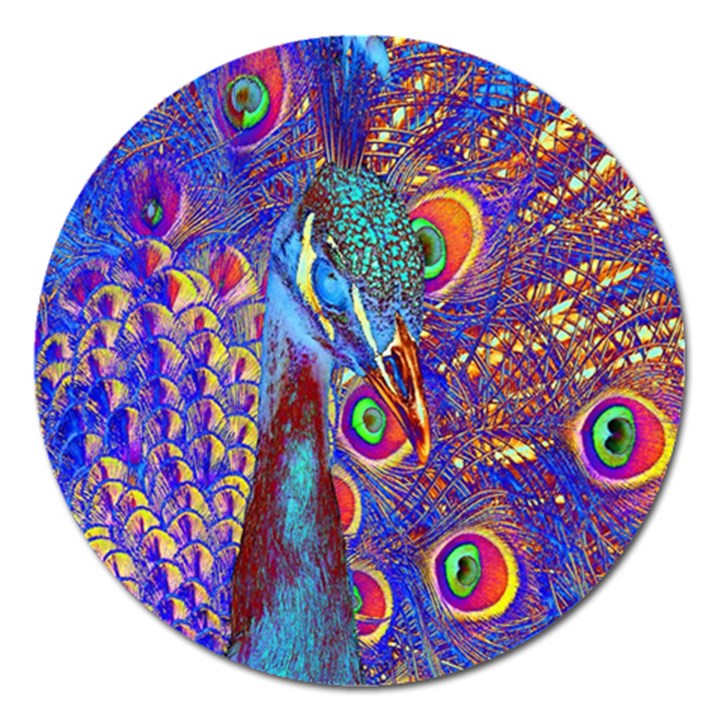 Peacock Magnet 5  (Round)