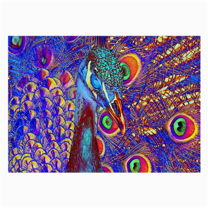 Peacock Glasses Cloth (Large, Two Sided)