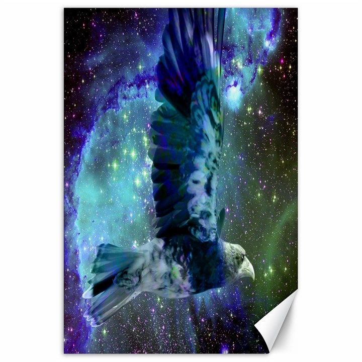 Catch A Falling Star Canvas 20  x 30  (Unframed)