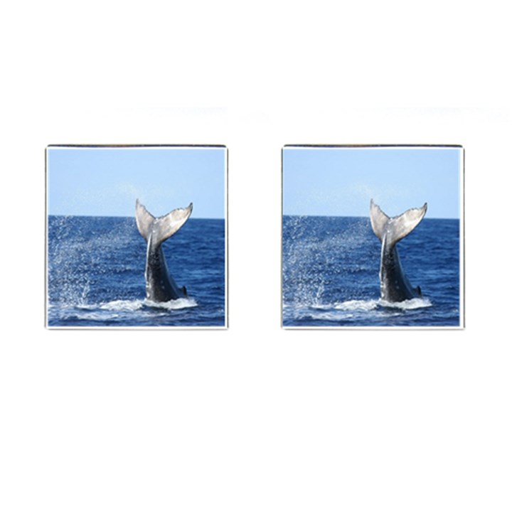 Humpback Whale Tail 2 Cufflinks (Square)