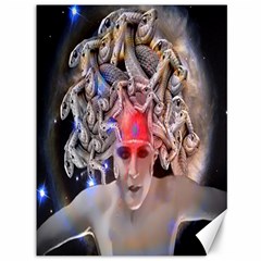 Medusa Canvas 36  X 48  (unframed) by icarusismartdesigns