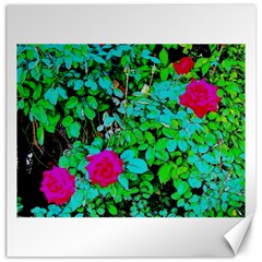 Rose Bush Canvas 12  X 12  (unframed) by sirhowardlee