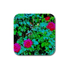 Rose Bush Drink Coasters 4 Pack (square)