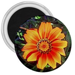 Flower In A Parking Lot 3  Button Magnet by sirhowardlee