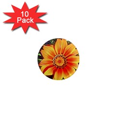 Flower In A Parking Lot 1  Mini Button Magnet (10 Pack) by sirhowardlee