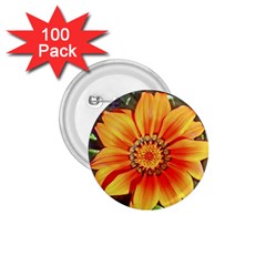 Flower In A Parking Lot 1 75  Button (100 Pack) by sirhowardlee