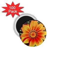 Flower In A Parking Lot 1 75  Button Magnet (100 Pack) by sirhowardlee