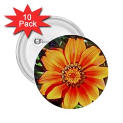 Flower In A Parking Lot 2 25  Button (10 Pack) by sirhowardlee