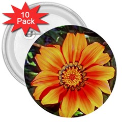 Flower In A Parking Lot 3  Button (10 Pack) by sirhowardlee