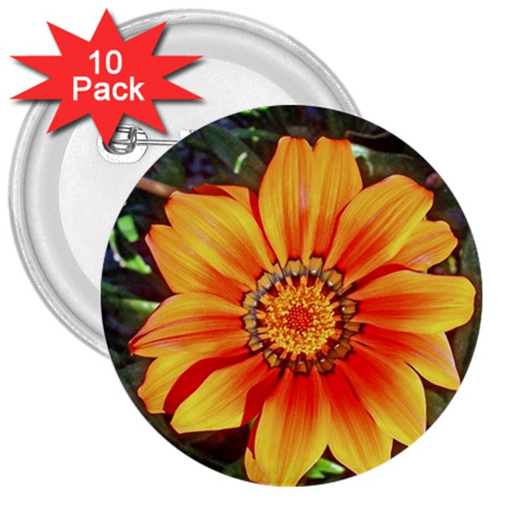 Flower In A Parking Lot 3  Button (10 pack)