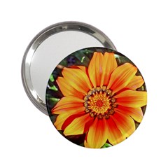 Flower In A Parking Lot Handbag Mirror (2 25 )