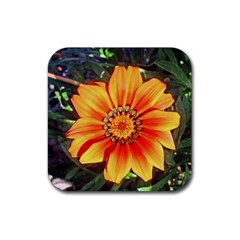 Flower In A Parking Lot Drink Coaster (square) by sirhowardlee