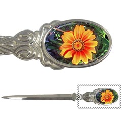 Flower In A Parking Lot Letter Opener by sirhowardlee