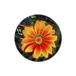 Flower In A Parking Lot Drink Coaster (Round) Front