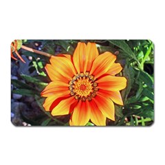 Flower In A Parking Lot Magnet (rectangular) by sirhowardlee