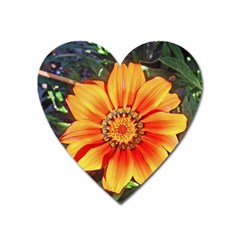 Flower In A Parking Lot Magnet (heart) by sirhowardlee