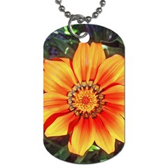 Flower In A Parking Lot Dog Tag (one Sided) by sirhowardlee